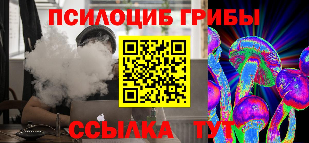 Кострома  Галлюциногенные грибы Psilocybine cubensis  Вход с VPN 